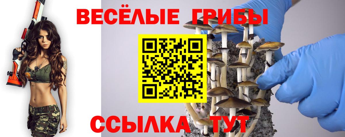 Йошкар-Ола  Псилоцибиновые грибы мицелий  Вход с VPN  Галлюциногенные грибы мухоморы 
